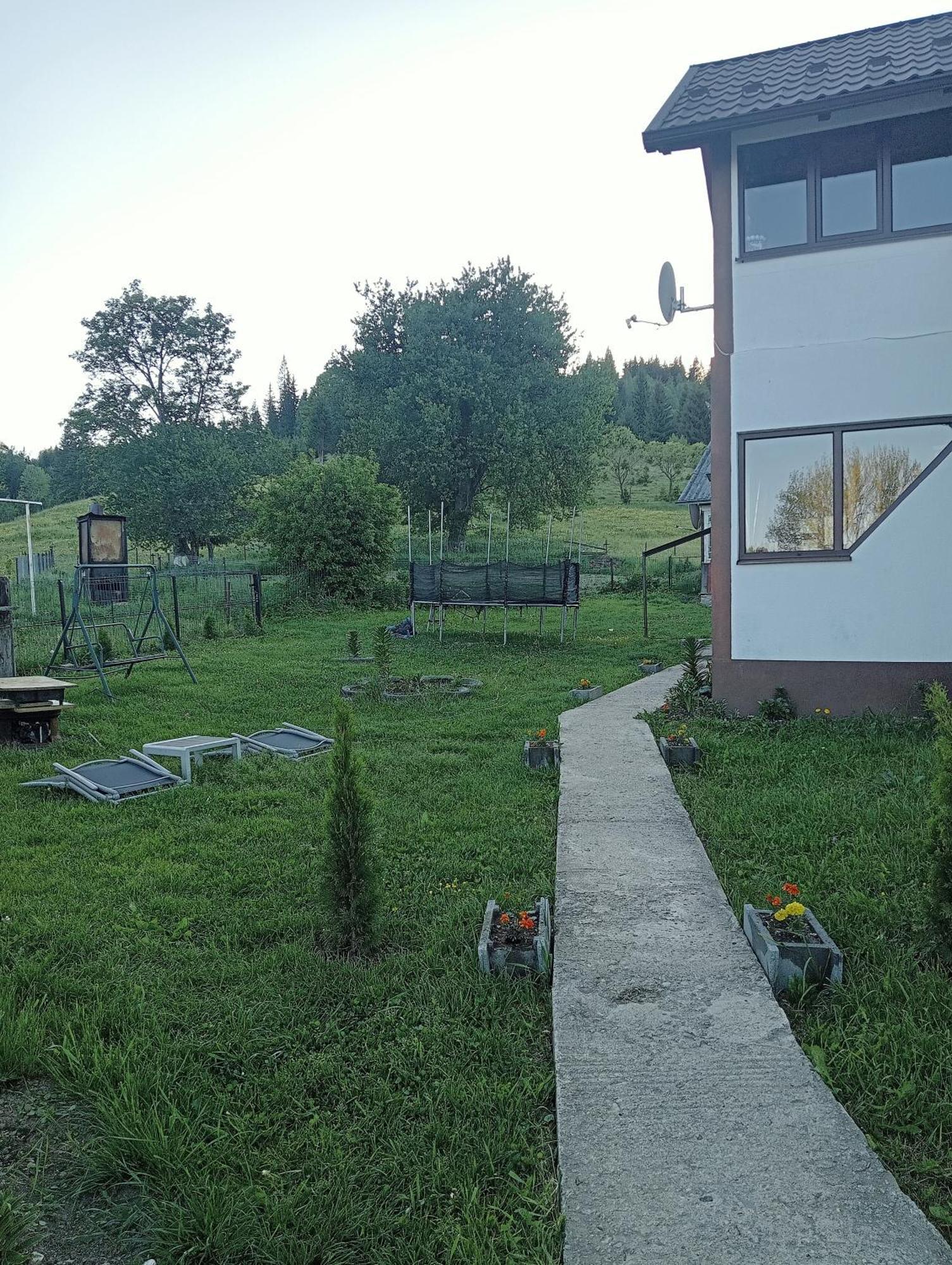 Casa Vasy Pensionat Vatra Dornei Eksteriør billede