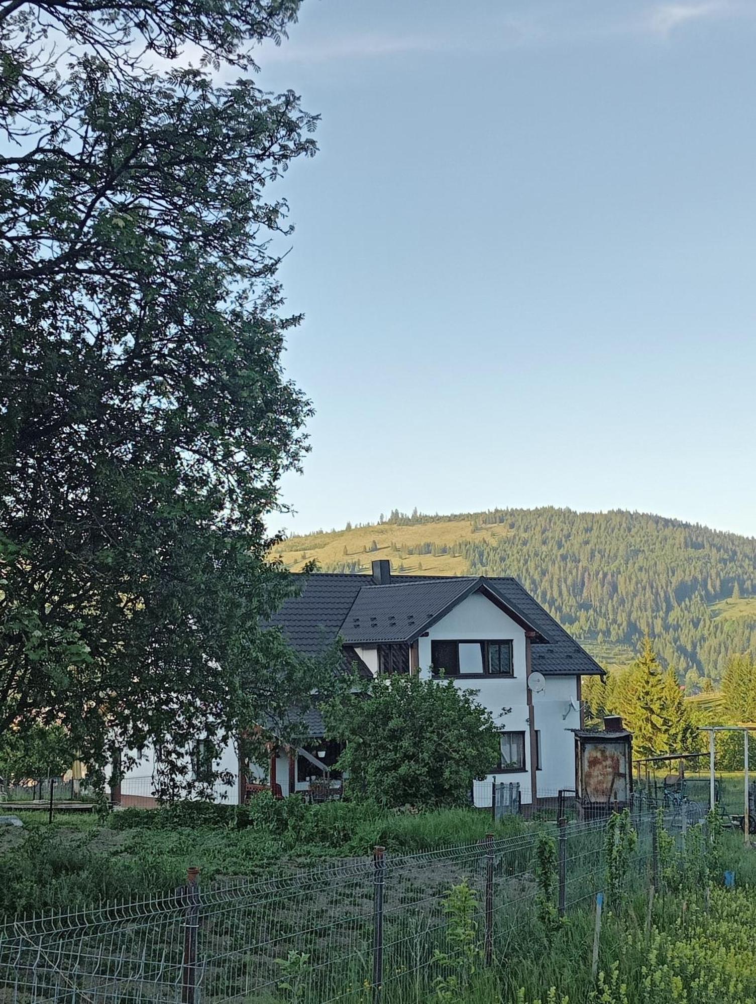 Casa Vasy Pensionat Vatra Dornei Eksteriør billede