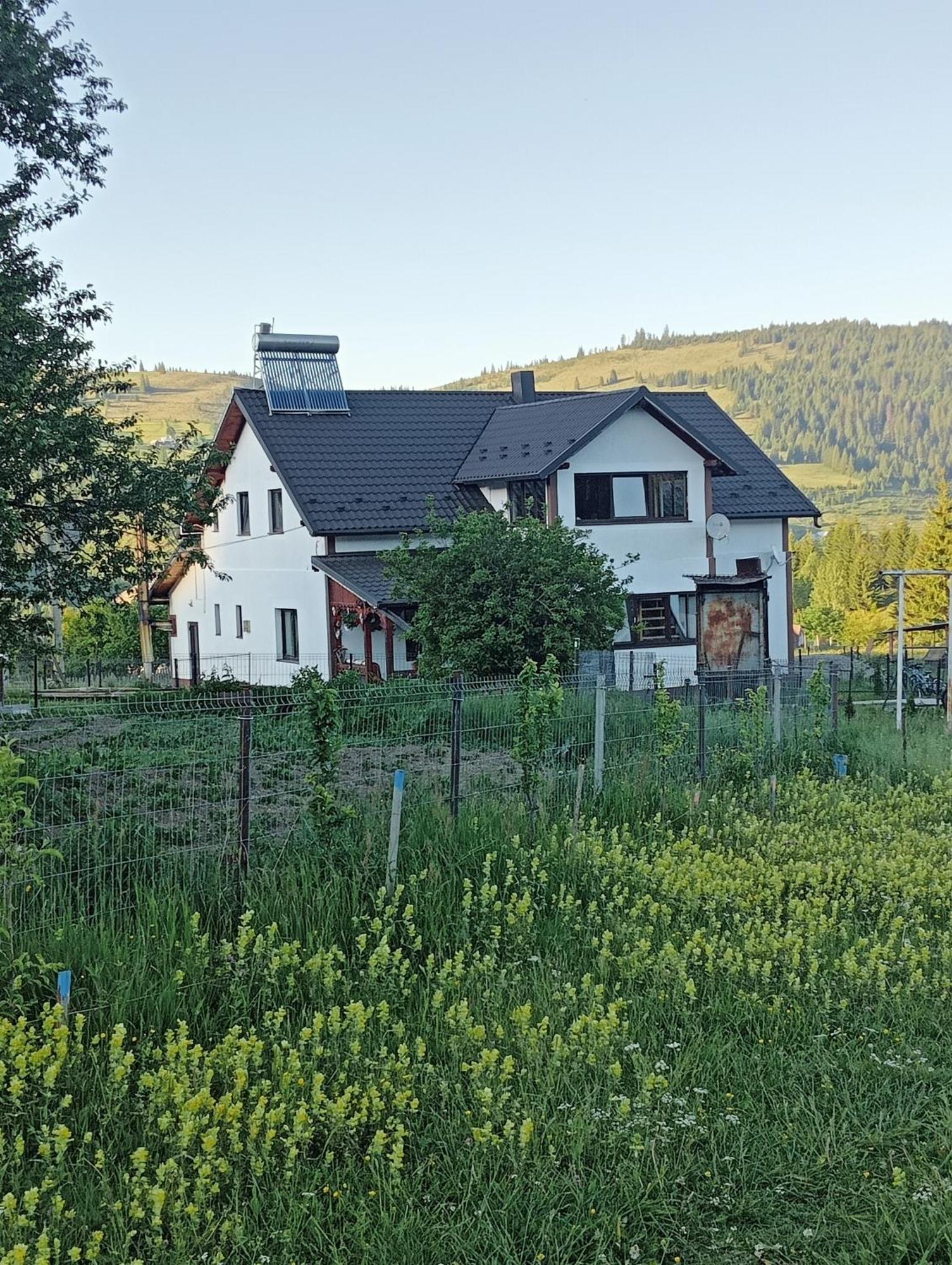 Casa Vasy Pensionat Vatra Dornei Eksteriør billede