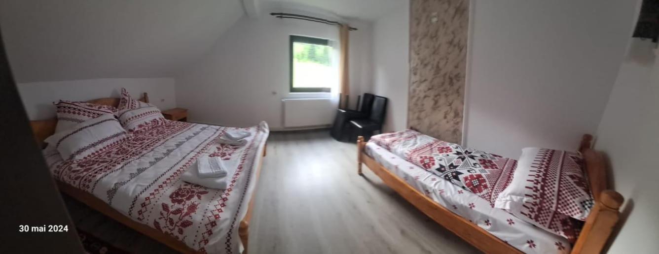 Casa Vasy Pensionat Vatra Dornei Eksteriør billede